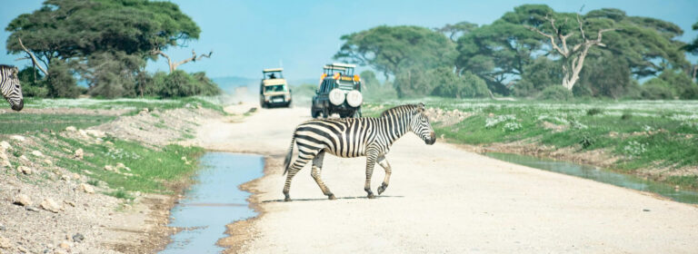 5 Days Big Sky Safari Experience