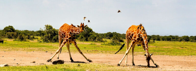 5 Days Crossing The Equator